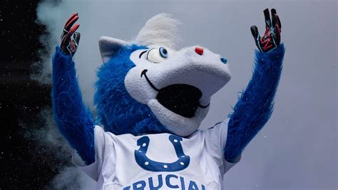 Blue clad mascot personifying the Colts